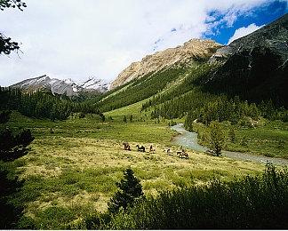 《英雄联盟》将整治峡谷之巅游戏环境：对演员行为“零容忍”